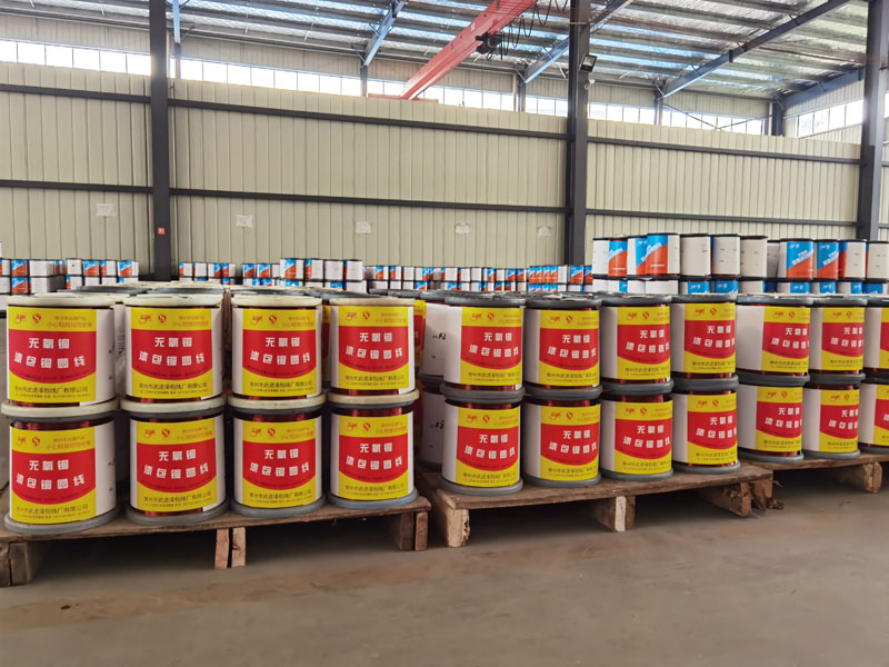 �c���鿴��